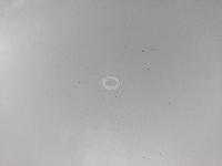 View Auto part Bootlid/Tailgate Bmw 4 Series 2016