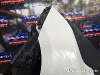 View Auto part Left Guard Hyundai Ix35 2015